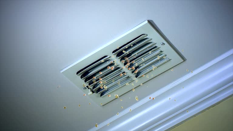 Best HVAC Air Duct Cleaning  in Del Rey, CA
