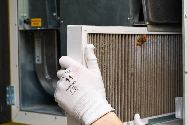Best Affordable HVAC Duct Cleaning  in Del Rey, CA